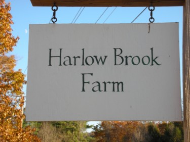 harlow brook